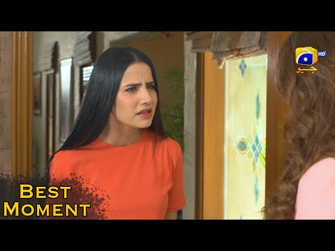 Grift Episode 19 || Ali Abbas - Saniya Shamshad || 𝐁𝐞𝐬𝐭 𝐌𝐨𝐦𝐞𝐧𝐭 𝟎𝟑 || Har Pal Geo