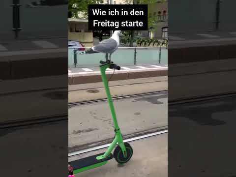 #fy #fyp #fypviral #viral #whyask #horus39 #180kmh #tekk #Tekkno #newmusic #yt #ytshorts #shorts