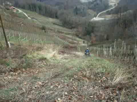 80.DEČKI ŽUTNICE - Štehec  spelava