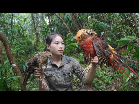 200 days of survival in the wild, trapping wild boar, turkey, pheasant, survival alone