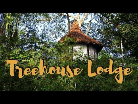 Amazon Treehouse Lodge 🌳 Sleeping in the Jungle, Piranha Fishing & Wildlife 🦜 Peru Adventure 🇵🇪🐒