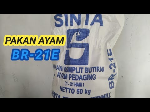 PAKAN AYAM//VOER BR21E
