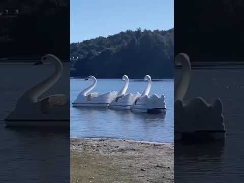 Neuquén. Lago Aluminé - Villa Pehuenia.