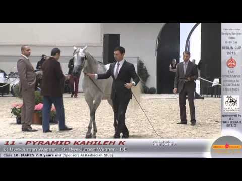 N.11 PYRAMID KAHILEH K - Berlin Cup S-Show Werder 2015 - Mares 7-9 years old (Class 10)