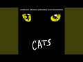 Gus: The Theatre Cat