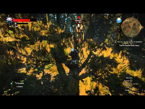 The Witcher 3 : Leshen attempt at level 4 (death march)