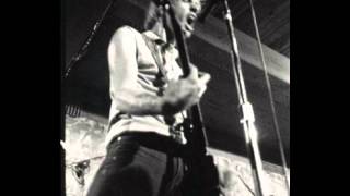 Our Past Life - The Wipers out take