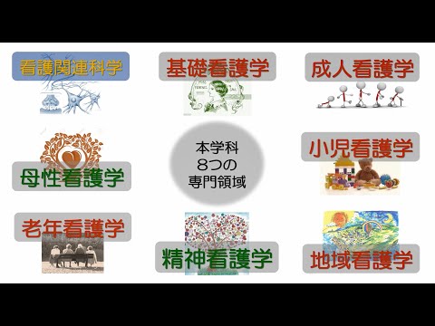 看護学科 埼玉医科大学保健医療学部　看護教員・領域紹介