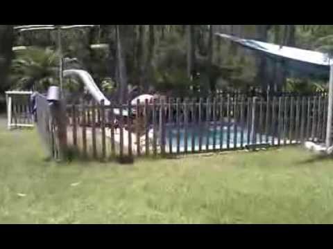 Alfie's first dive in the swimming pool