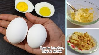 How to introduce Eggs to baby || Baby Food || Egg recipes