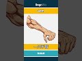 arm - 一只手臂 video thumbnail