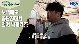 [방울토마토 농장에 씨름꾼이 산다] 되는 일이 하나도 없는 날~!
