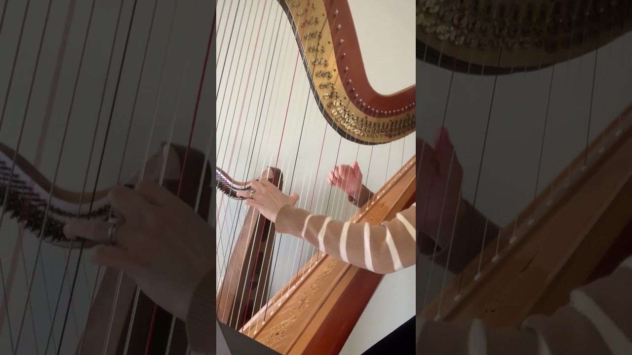 Promotional video thumbnail 4 for Where The Harp Is