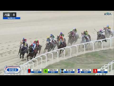2025년 뚝섬배(Grade2) 대상경주