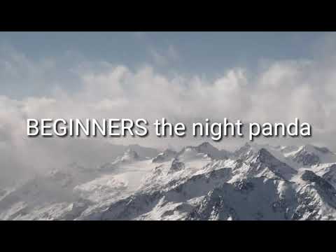 BEGINNERS the night panda (Official music video)