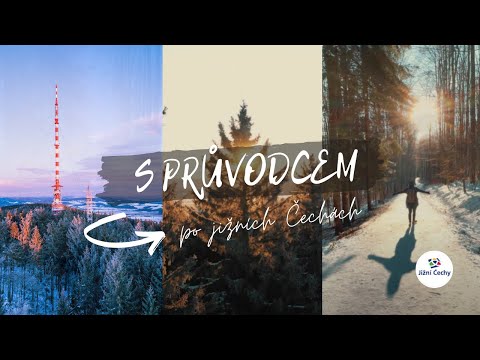 Náhled pro video reference
