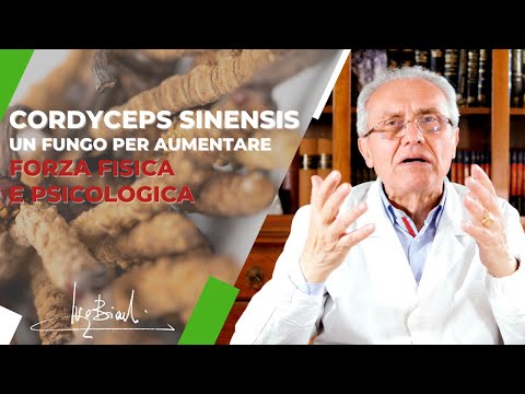 Un Fungo per attivare la Forza Fisica e Psicologica!