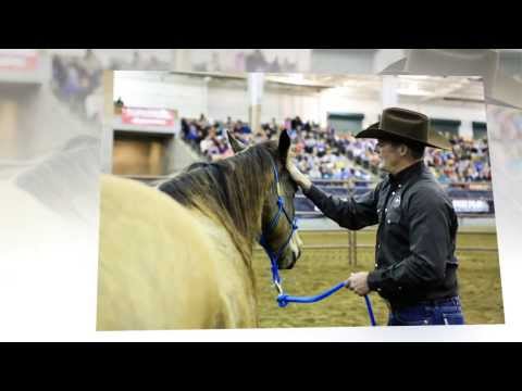 Walkabout Tour ~ Franklin, TN