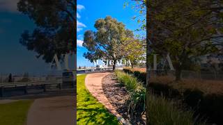 夏の疲れを癒す🌿美しい景色でリラックスtime✨️オーストラリア/パース散歩/australia#perth#travel#shortvideo #shorts#nature