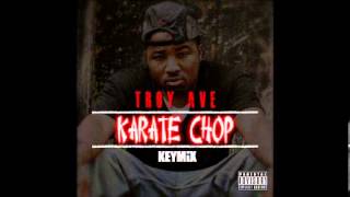 Troy Ave - Karate Chop