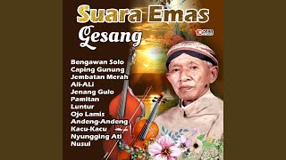 Download lagu Bengawan Solo mp3