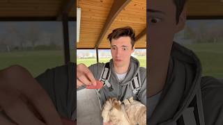 Download lagu Awkward 😬 #cat #cats mp3 Download lagu Awkward 😬 #cat #cats mp3