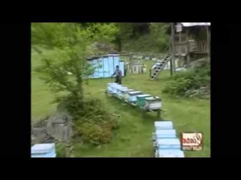 Mahmut Turan - Ağır Bar (Resmi Video) (Tulum) ✔️