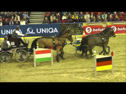 UNIQA Lovas Világkupa 2014 - CAI-W Négyesfogathajtóverseny - második futam
