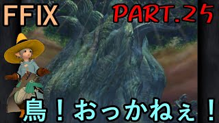 【砂の大樹と】大好きなみんなと旅に出る　FF9実況　Part25【砂の人形】