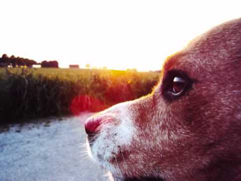 sam sure & giacomo - acid days