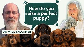[VET TALK] Naturally Reared Puppies - Advice, Guidance and Support By Dr. Will Falconer
