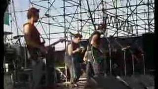 Paul Kelly - Dumb Things (Live)