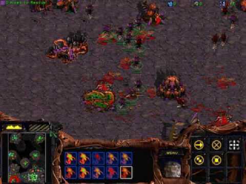 Starcraft Brood War - Zerg 01 "Vile Disruption" in 1:40