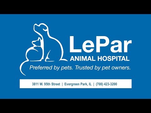 download lagu mp3 mp4 Lepar Com, download lagu Lepar Com gratis, unduh video klip Lepar Com