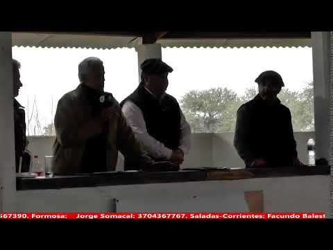 Remate Físico e Invernada Tres Isletas  Chaco