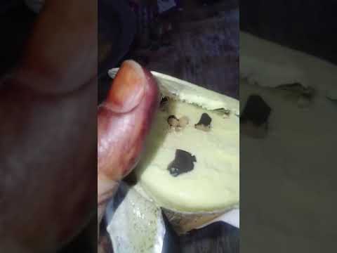 KRAZY KONE icecream 🍦❤️❤️❤️❤️❤️❤️❤️❤️