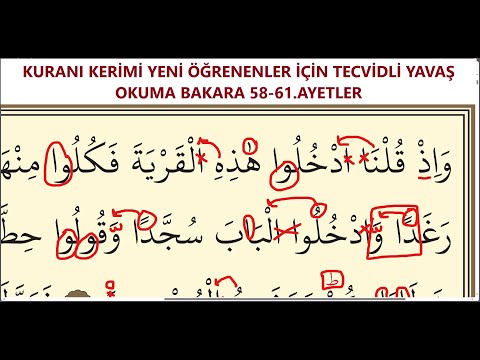KURANI KERİMİ YENİ ÖĞRENENLER İÇİN TECVİDLİ YAVAŞ OKUMA BAKARA 58-61.AYETLER
