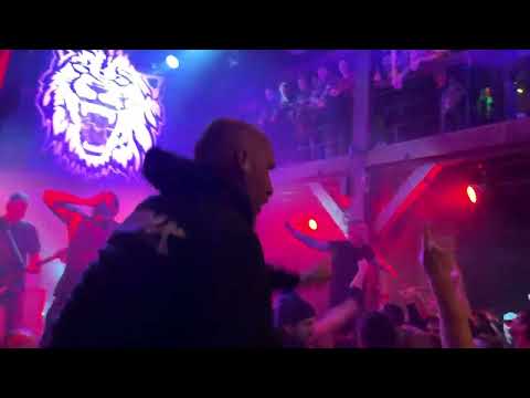 Smoke Blow - Alligator Rodeo 30.11.2024 live Hamburg Fabrik