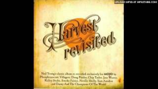 Sam Amidon - The Needle And The Damage Done