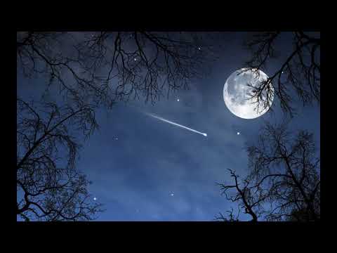 EnSecreto - Zuja (Clap Psycho & Kaaesete)