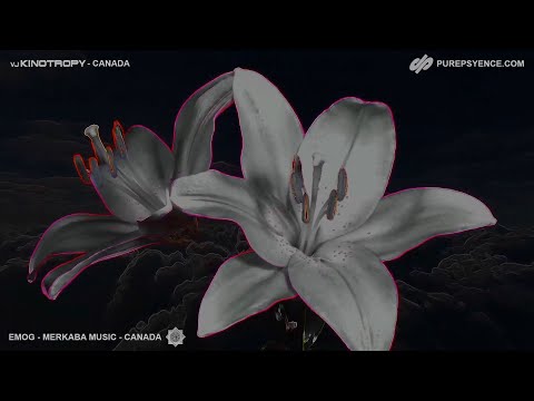 NF12 EMOG vs  KINOTROPY Best PsyDub PsyBass  Mix YouTube Live Recording