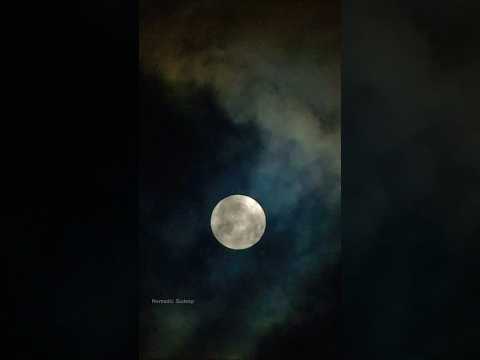 Talking To The Moon #fullmoon #shortvideo #shorts #shoutout #reels #foryou #fyp #missyou #moon #fypp