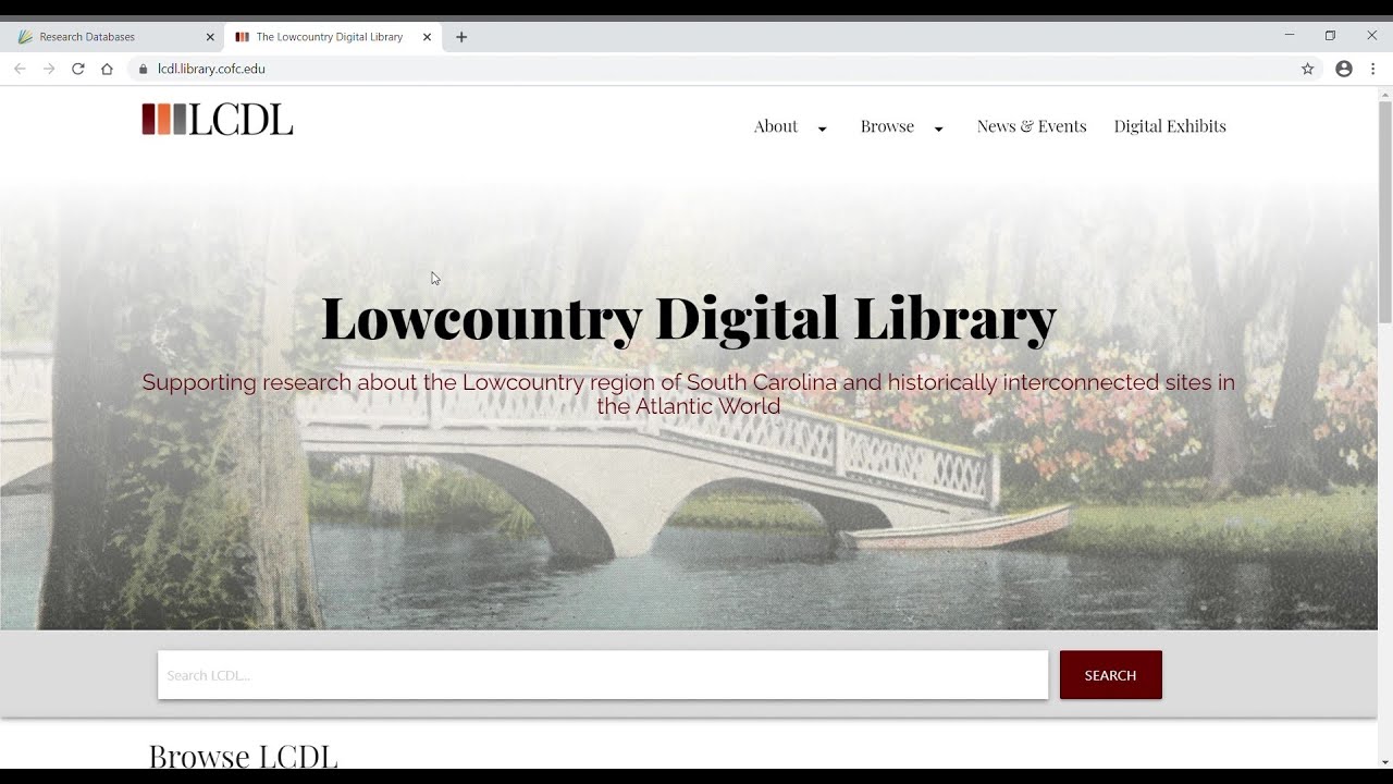 Intro To The Lowcountry Digital Library
