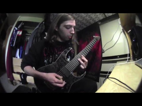 Spawn of Possession - Apparition - Guitar Cover