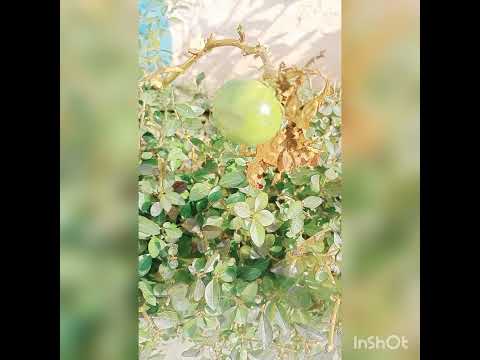 variety of flowers | autumn production