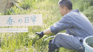 春の日常　Nobinobi Life