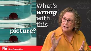 A Critical Lens on Science Images