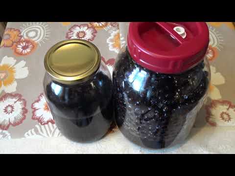 Health-promoting chokeberry tincture - RECIPE