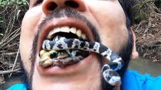 DEMONIOS SALEN EN FORMA DE RANAS Y SERPIENTE LIBERACIÓN CON LUHYI GARCIA 2018