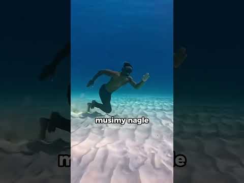 DLACZEGO ludzie nie rodzą się z umiejętnością pływania? 🏊